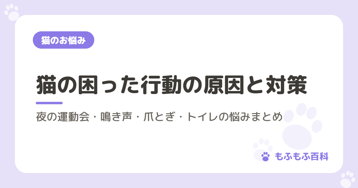 猫の困った行動の原因と対策｜夜の運動会・鳴き声・爪とぎ・トイレの悩みまとめ