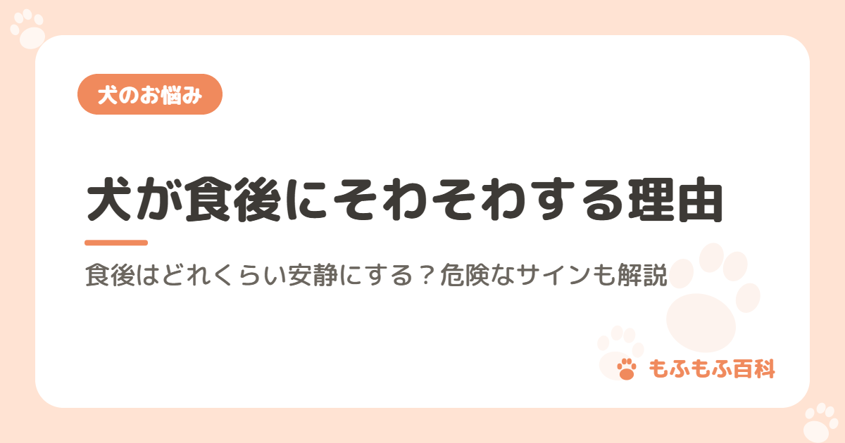犬が食後にそわそわする理由｜食後はどれくらい安静にする？危険なサインも解説