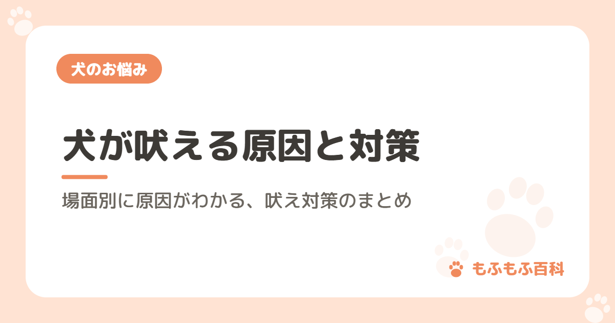 犬が吠える原因と対策｜場面別に原因がわかる、吠え対策のまとめ