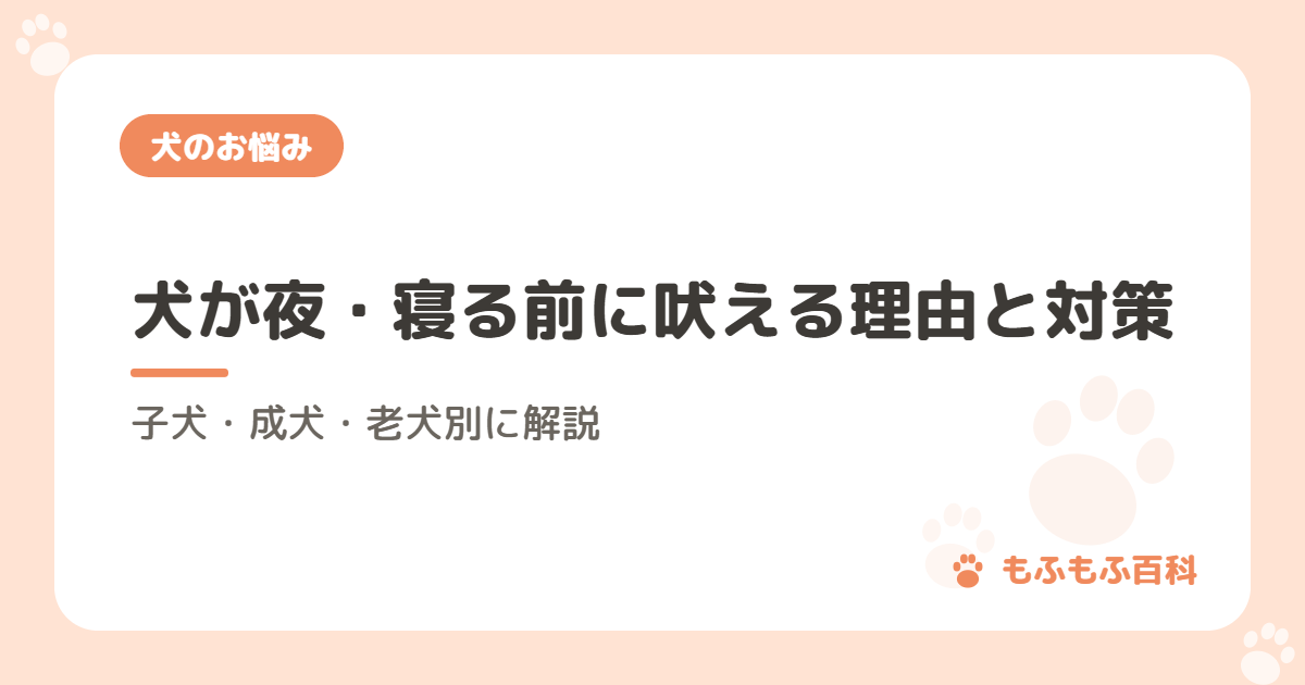 犬が夜・寝る前に吠える理由と対策｜子犬・成犬・老犬別に解説